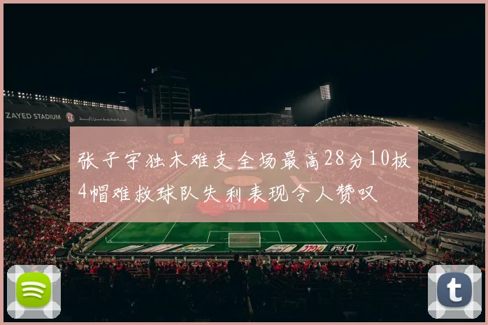 张子宇独木难支全场最高28分10板4帽难救球队失利表现令人赞叹